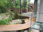 DSCN1426